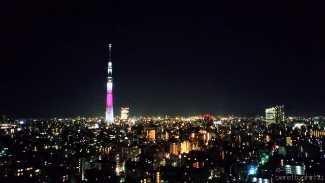 Egy álom valóra vált - Seba Japánban 13